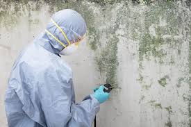 Best Mold Remediation for Healthcare Facilities  in Dyer, TN